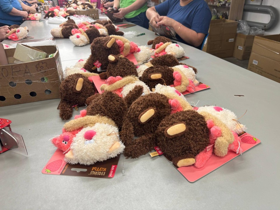 Популярная игрушка: можайское предприятие по выпуску котов Басиков наращивает производство к Новому году