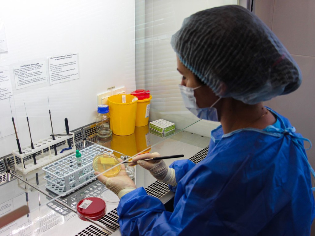 В «Ступинской Ниве» искали опасных вредителей: официальные итоги проверки