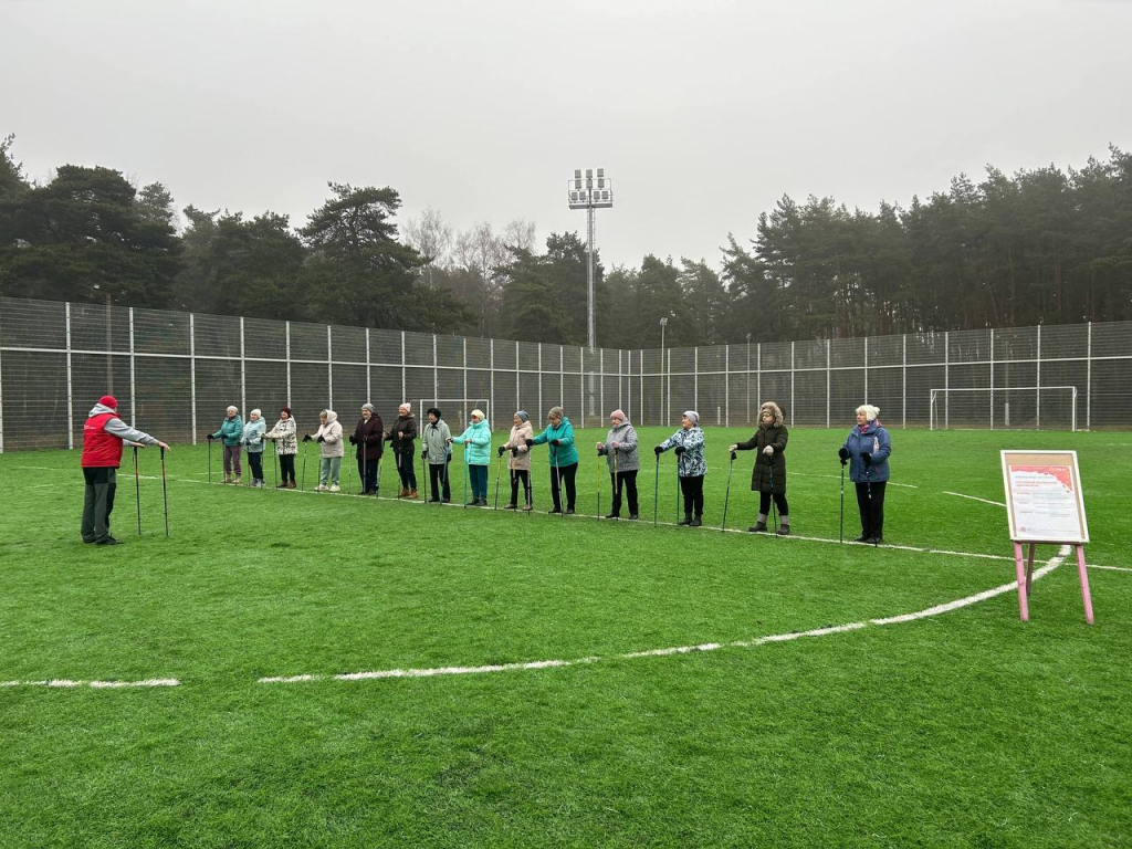 Беги, ходи, узнавай: чем заняться в Кузьминском лесопарке в первую неделю декабря