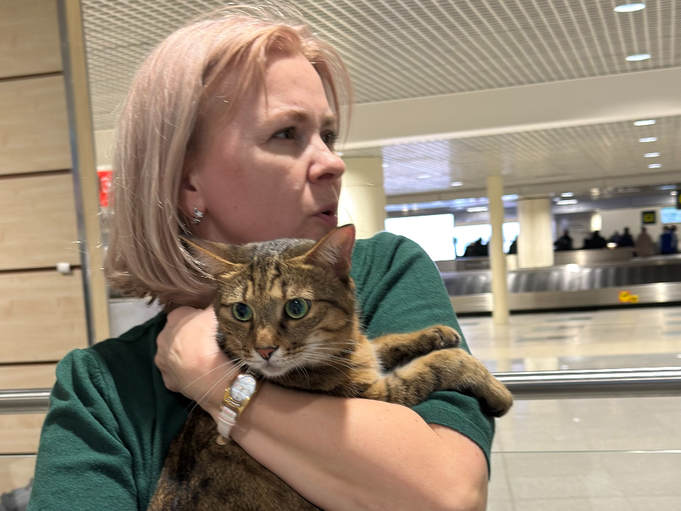 В аэропорту Домодедово встретили кота, потерявшегося по дороге из Улан-Удэ в Москву
