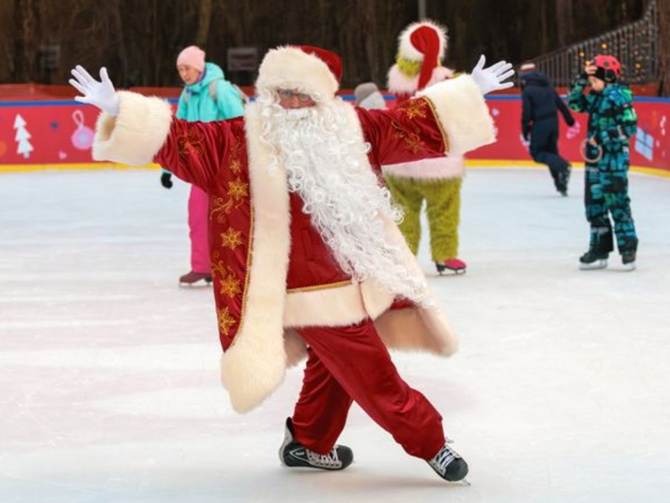 Суррогат и травмы недопустимы: Дед Мороз решительно осудил два вида новогодних елок