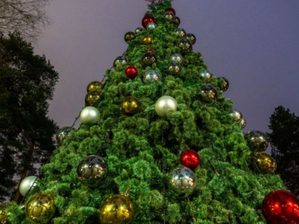 Чудеса вокруг новогодней елки и зимние мастер-классы ждут гостей в парках и ДК Талдома 25 декабря