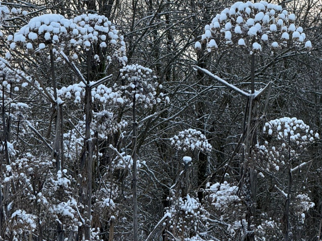 Демоны и метели: как предки 24 декабря на Никона боролись с нечистью, которая стучится в двери
