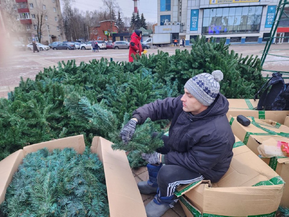 Новогоднее чудо: монтаж огромной елки начался в Солнечногорске на главной площади