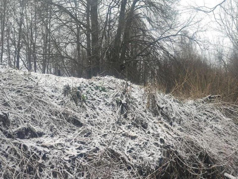 В Новоселках проверили участок у ручья после жалоб жителей: собственнице направили предостережение за работы рядом с водой