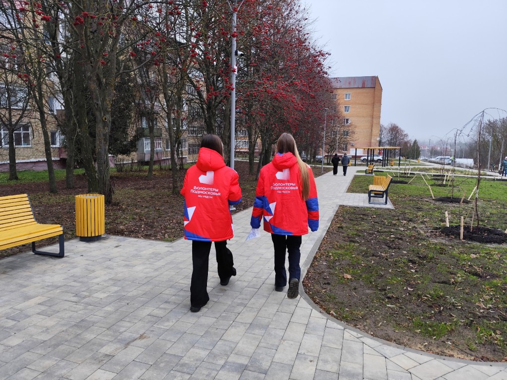 Волонтеры Каширы напомнили о правилах дорожной безопасности