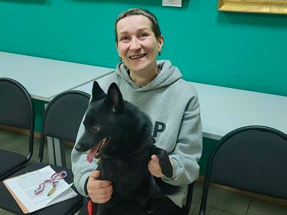 Овчарка Шишка дебютировала на занятии проекта «Фронтовая собака» в Долгопрудном