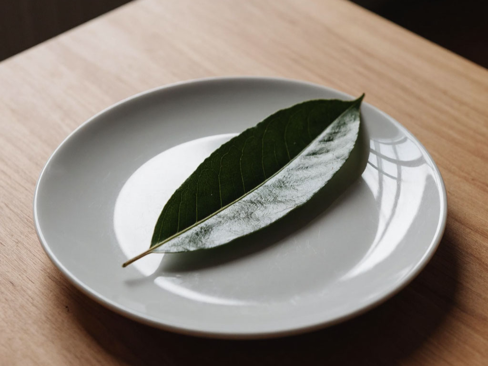 Никакой химии: зачем лавровый лист используют вместо спреев и ароматизаторов