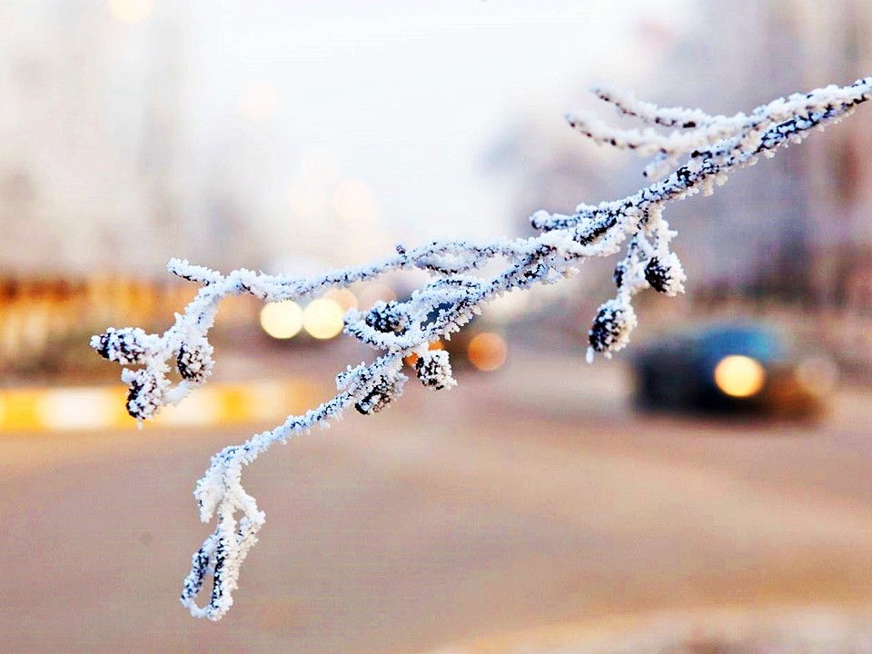 Что ждет лотошницев 31 декабря: гороскоп на последний день года