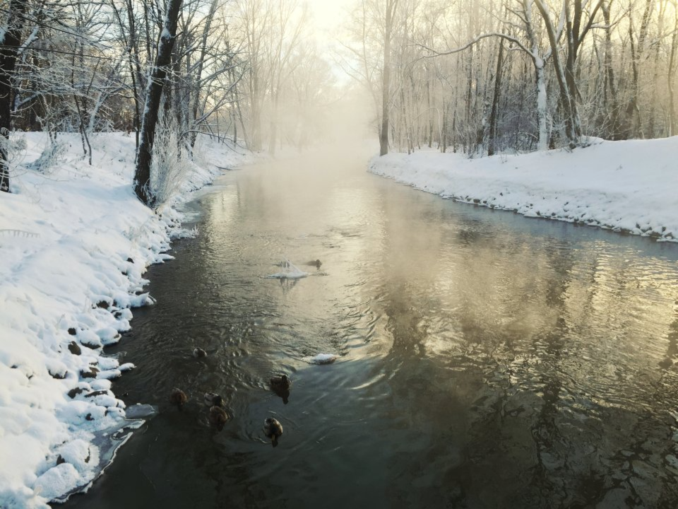 Первые декабрьские морозы до -10° ударят в Подмосковье: синоптик рассказал, когда утепляться