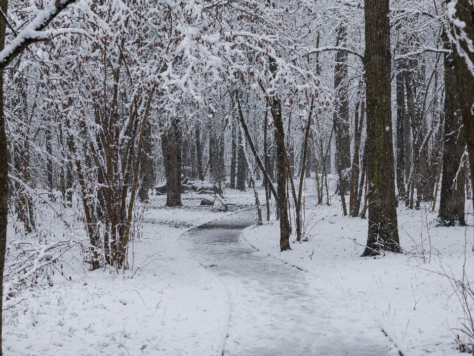 Синоптик пообещал климатические качели в Подмосковье: оттепель сменится январскими морозами