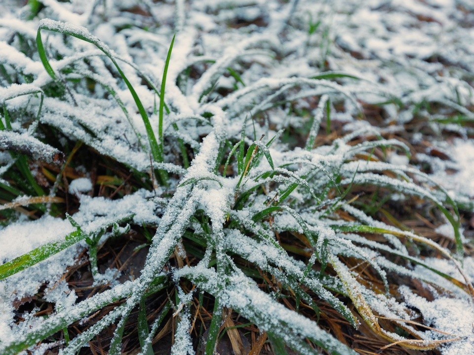 Погода-предатель: жителям Московского региона дали правдивый прогноз на декабрь