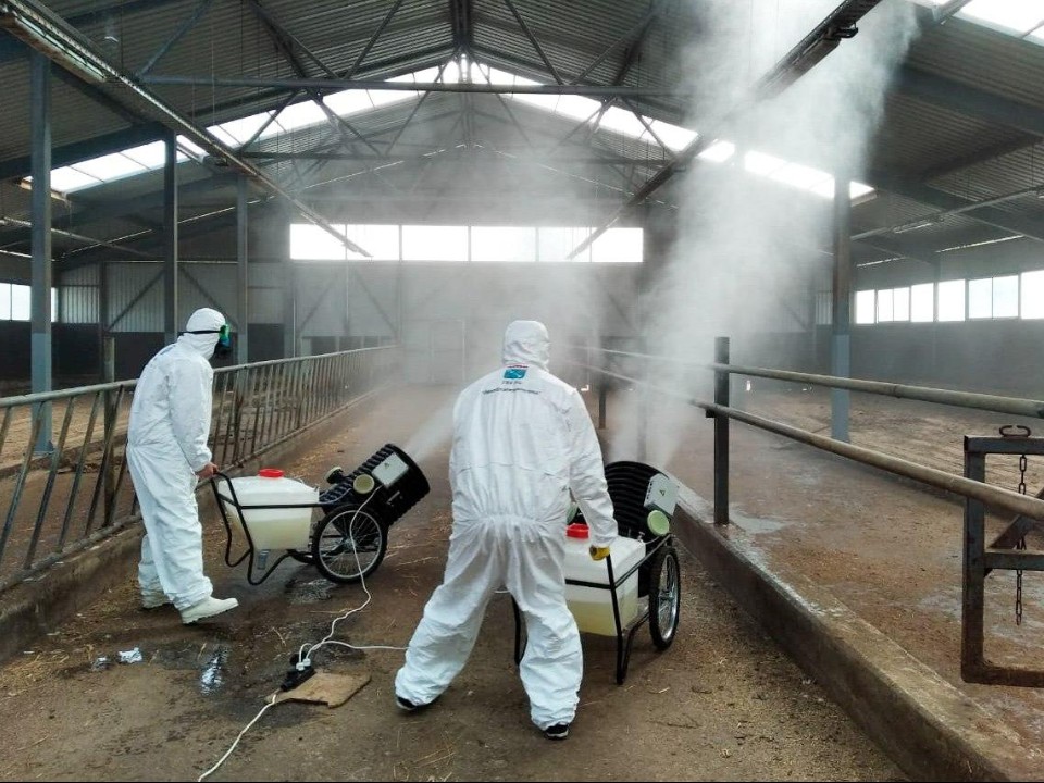 Зараза не пройдет: что скрывается за скучным отчетом о санобработке предприятий АПК в Подмосковье