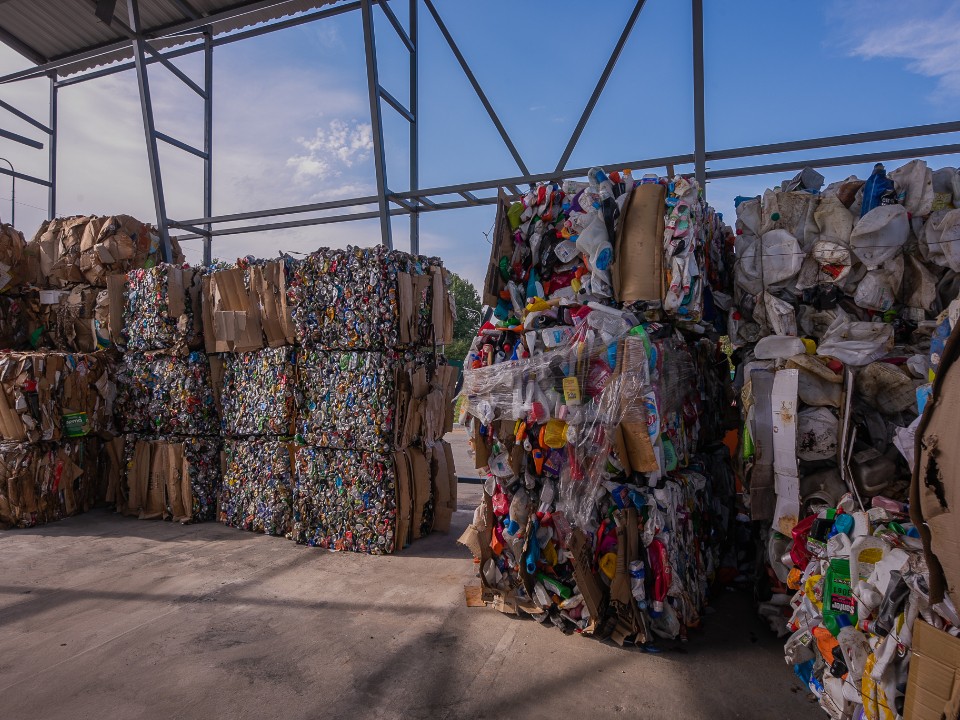 Экологические активисты в каждом округе: что они успели сделать за год в Подмосковье