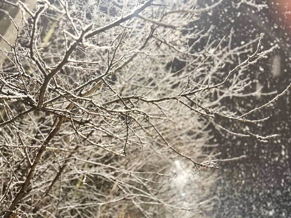 Сильный снегопад и потепление ожидаются в Истре