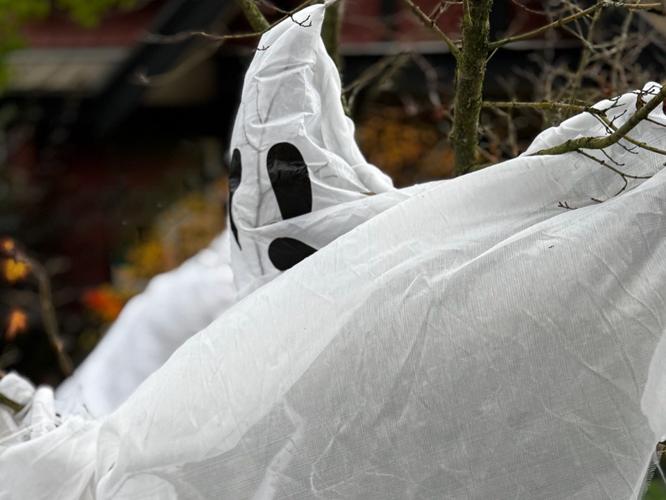 Каспер, Карлсон или пингвин? Жители Подольска сфотографировали необычного «призрака»