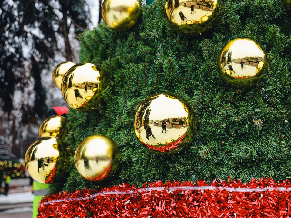 Где провести новогоднюю фотосессию бесплатно: обзор локаций в Химках