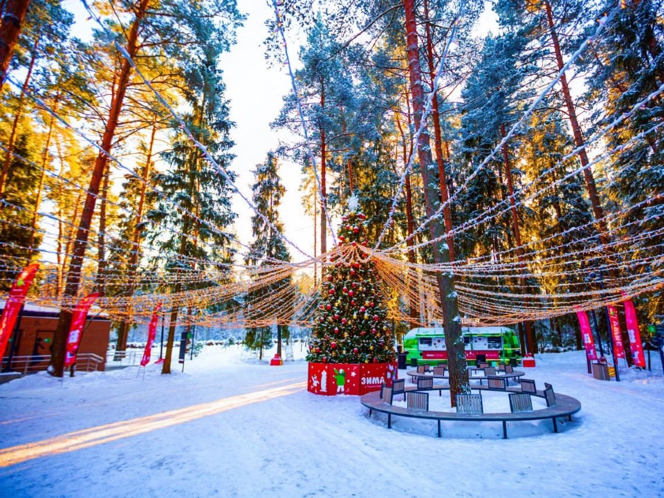 Насыщенная программа ждет жителей Подмосковья зимой: 1 тыс. мероприятий для детей и взрослых