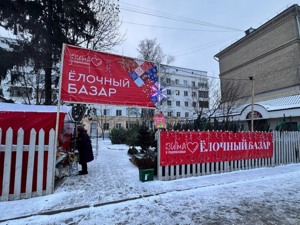 Где в Сергиевом Посаде купить новогоднюю ель, чтобы не платить штраф ₽5 тыс.