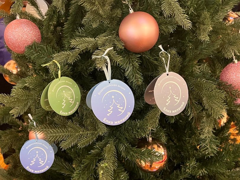 Вместо Деда Мороза: министр науки РФ подарит детям из Электростали конструкторы и квадрокоптер