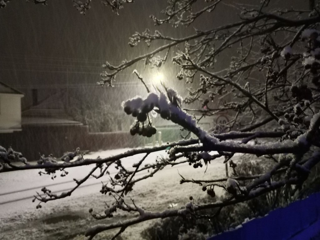 Усиление морозов пообещали ружанам к утру 23 декабря