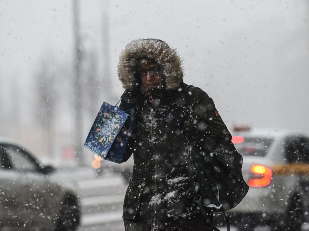 До 25% месячной нормы в сутки: сколько снега выпадет в Подмосковье к Новому году