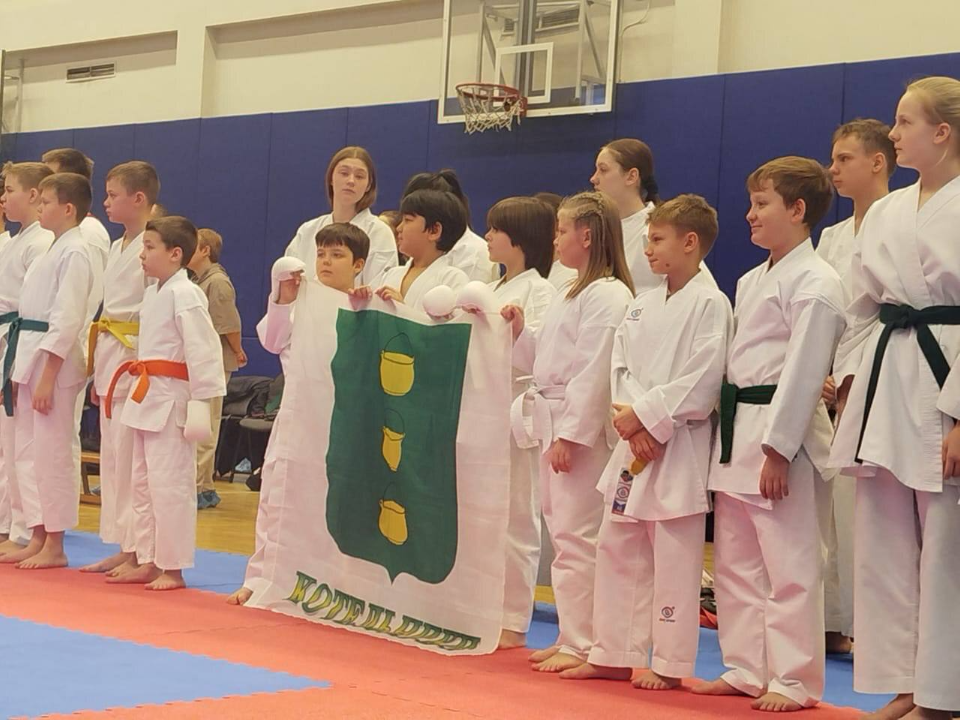 Восемь спортсменов из Котельников отобрались на Всероссийские соревнования по сетокан карате