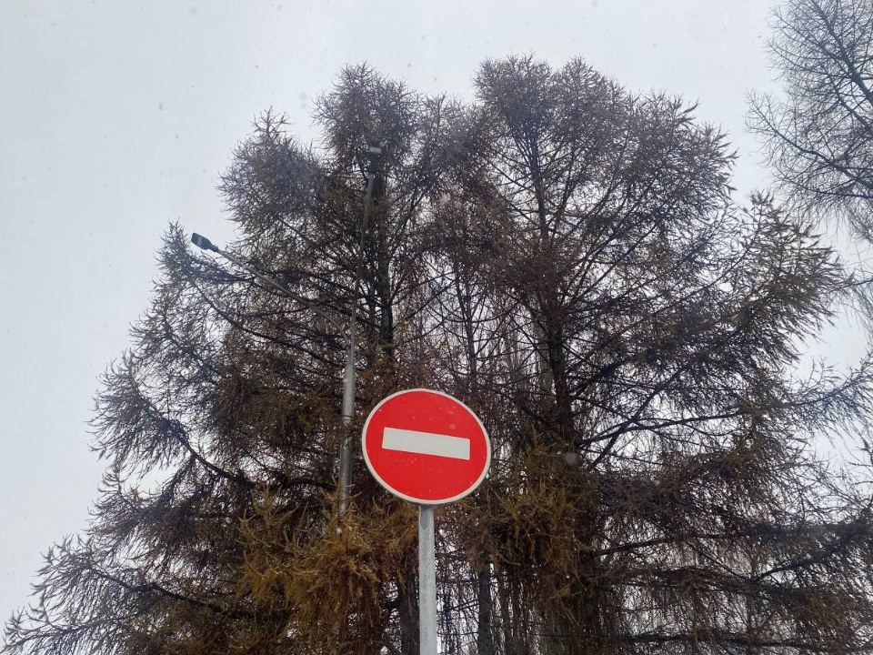 Когда, на сколько и почему: на Дмитровском шоссе ограничат движение