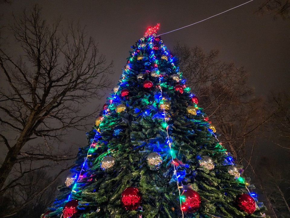 Дед Мороз и Снегурочка зажгли огни на новогодней елке в парке «Дубрава»
