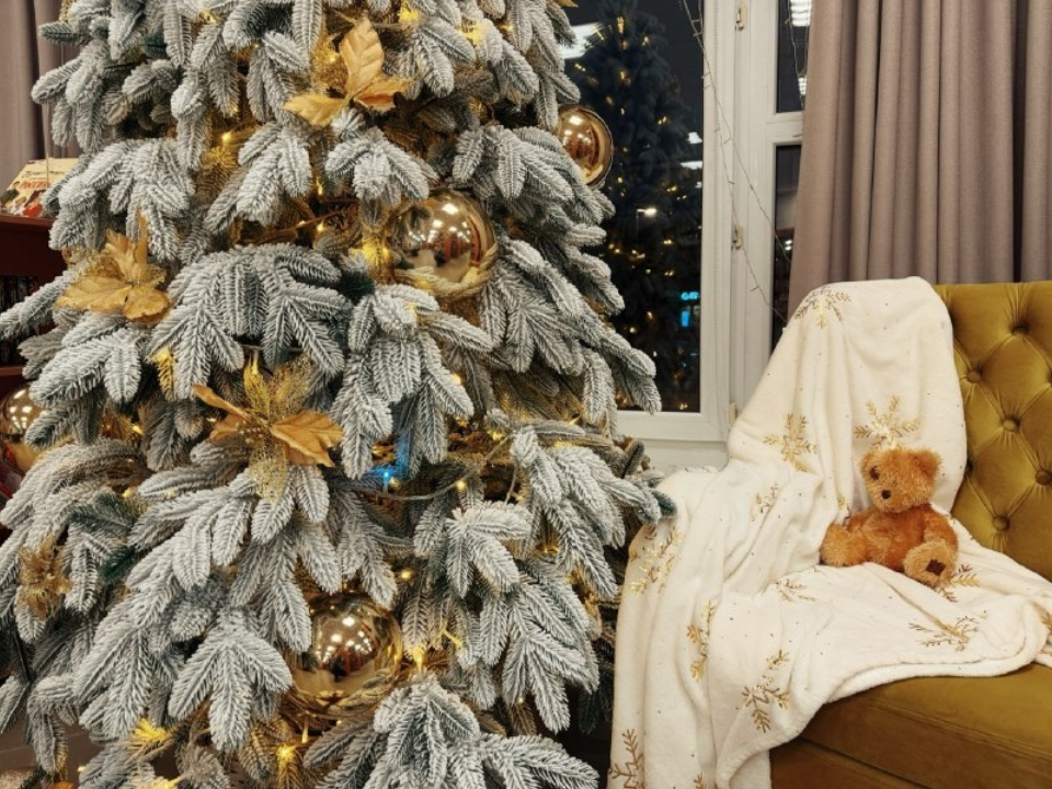 Музей, библиотека или театр: куда отправиться дмитровчанам в первую неделю зимы