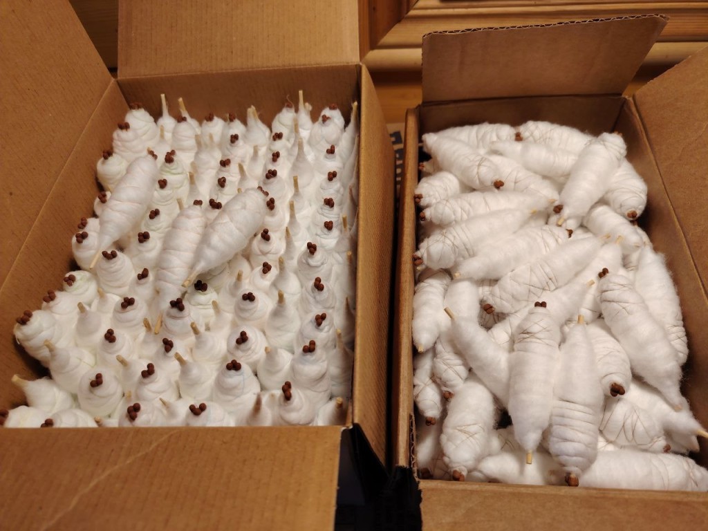 Более 800 cпичек длительного горения изготовили егорьевские волонтеры