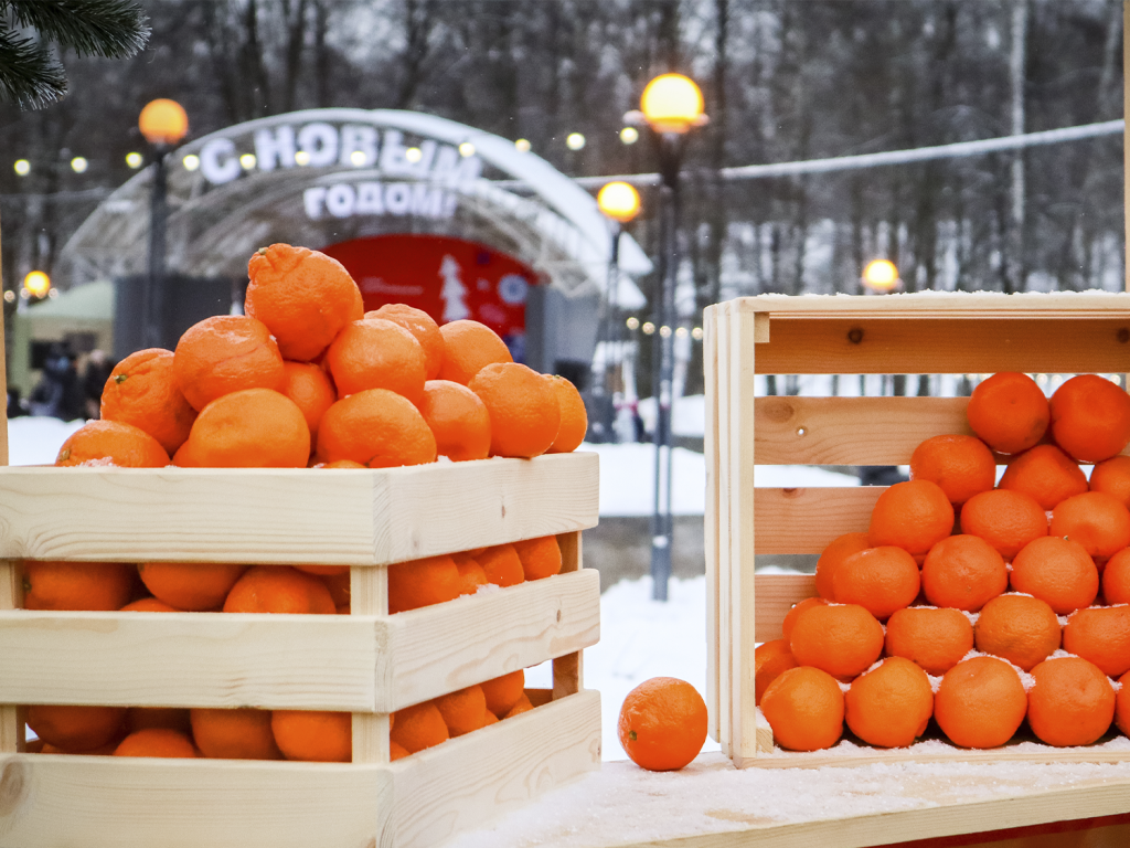 Не больше половинки: врачи из Зарайска не советуют давать детям много мандаринов