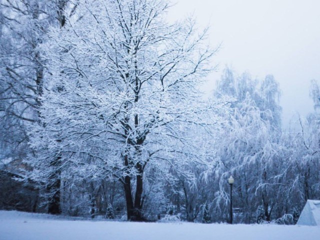 Снегопады и морозы под -20? Жителей Подмосковья в январе ждет жуткий холод!