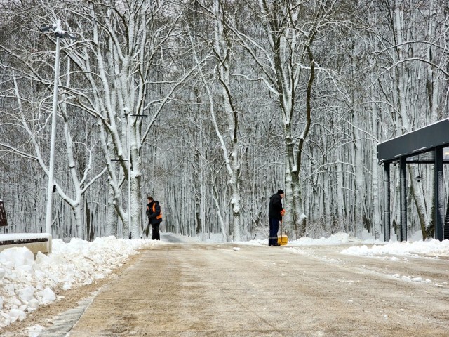 Пущинские коммунальщики быстро устранили последствия первого серьезного снегопада