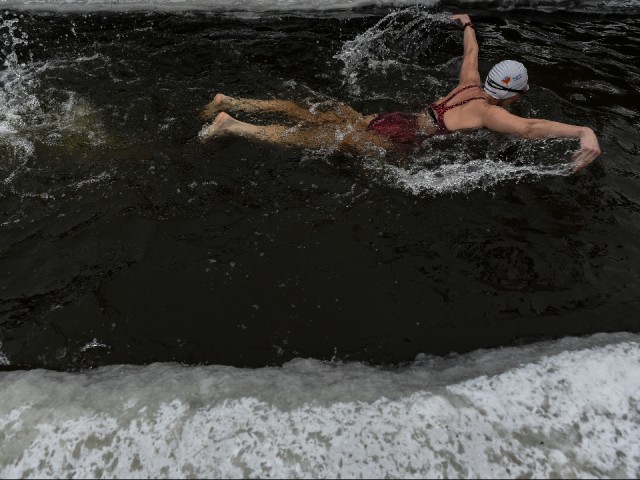 «Эмоции не передать»: массовый заплыв устроили моржи у Новоиерусалимского монастыря