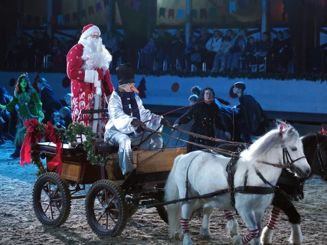 Чем удивят особенных детей новогодние представления в спортивной школе «Белка»?