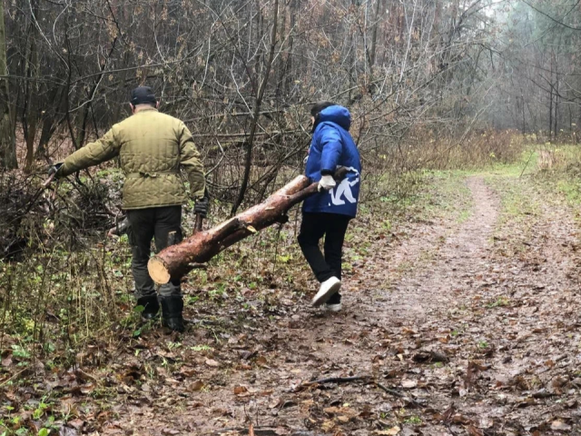 «Станет местом притяжения»: в Цаговском лесу расчищают лыжную трассу
