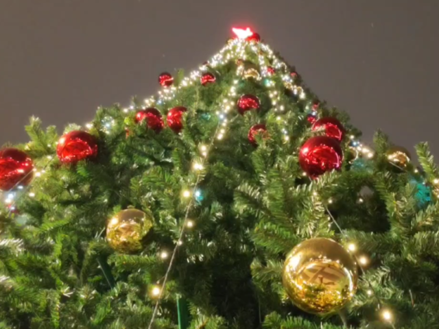 В Черноголовке пройдет открытие главной елки и запуск «Почты Деда Мороза»