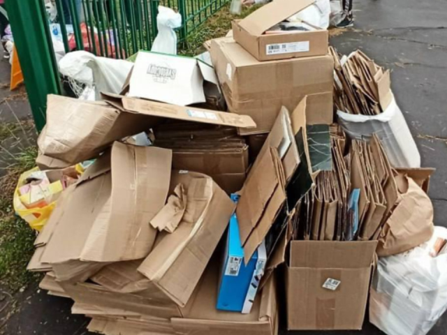 Финальная акция по сбору вторсырья прошла в Коломне: все собранные материалы отправятся на переработку