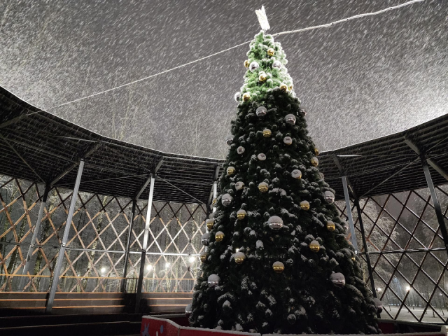 Снегири на аллее: куда пойти в Егорьевске, чтобы почувствовать дух праздника