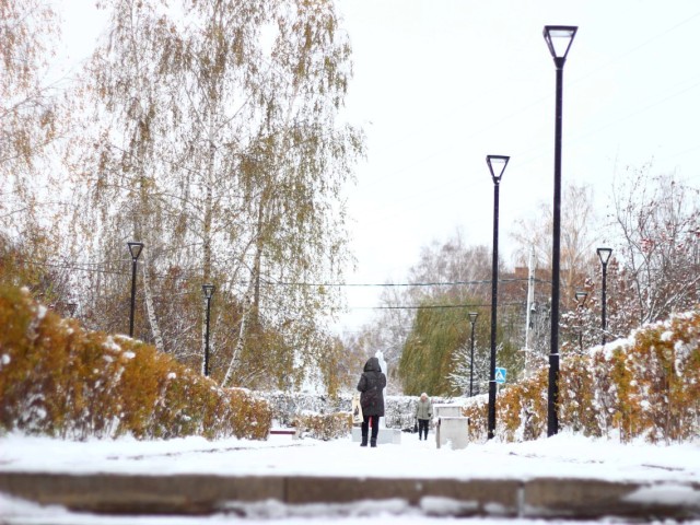 Морозное эхо Якутии докатилось до Подмосковья: Кашира стала самой холодной точкой региона
