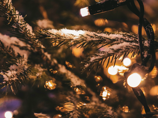 День Ильи Муромца расскажет, что ждет шаховчан на год вперед