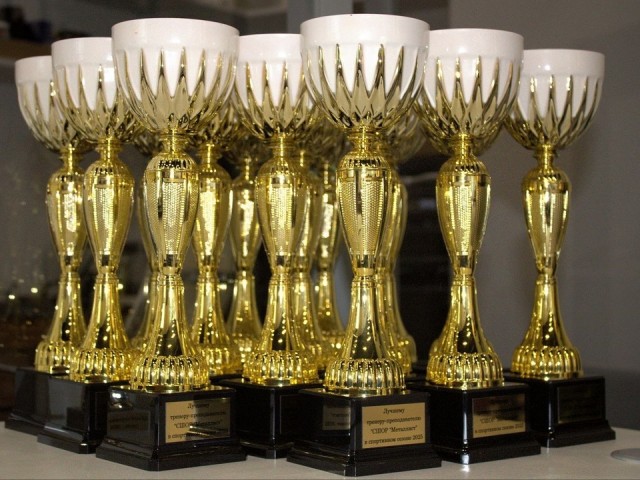 Золотой кубок для тренера: лучших наставников школы «Металлист» отметили наградами