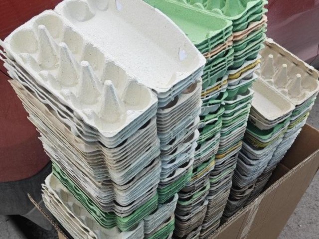 На спасение планеты всего 30 минут: в Домодедове пройдет акция по раздельному сбору отходов