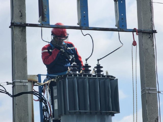 Жители возмущены массовой вырубкой здоровых деревьев в Апрелевке