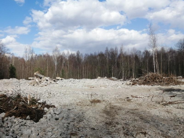 Собственников земель предупредили о незаконных свалках: что делать, чтобы не лишиться участка и денег