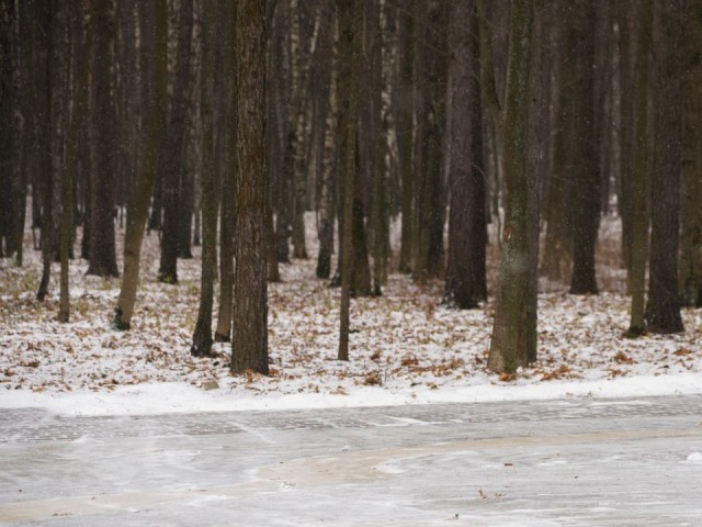 Архитектурный ансамбль под охраной: в селе Ольгово защитили усадьбу работы Кампорези