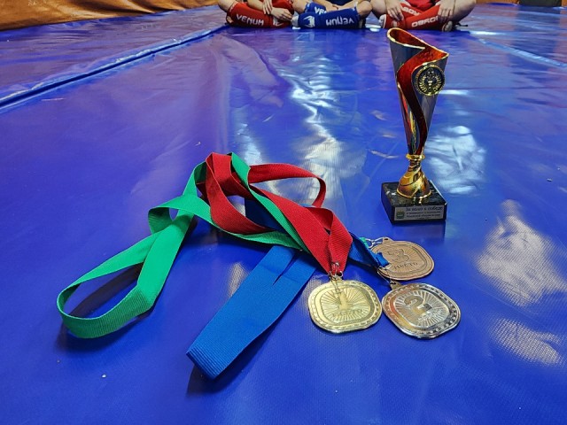 Подтягивания и отжимания: как отличилась команда «Лига Сильнейших» из Серпухова на чемпионате мира