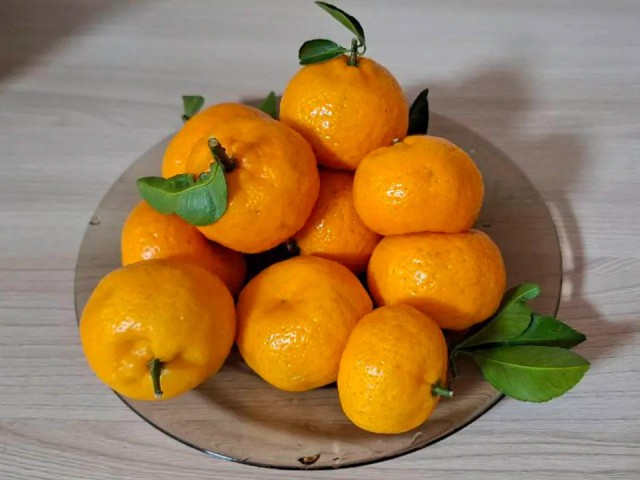 Витаминная бомба с ограничением: почему будущим мамам нужны мандарины и сколько можно съесть без вреда для здоровья