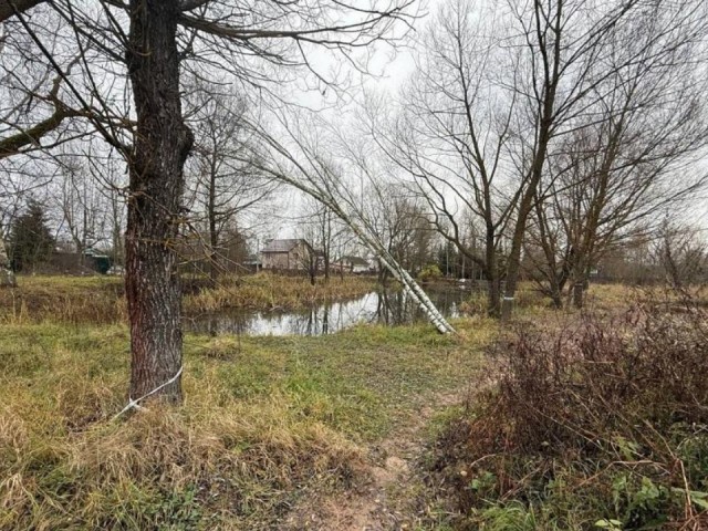 Ручьи под прицелом: как Минэкологии защищает водные артерии Видного от нарушителей